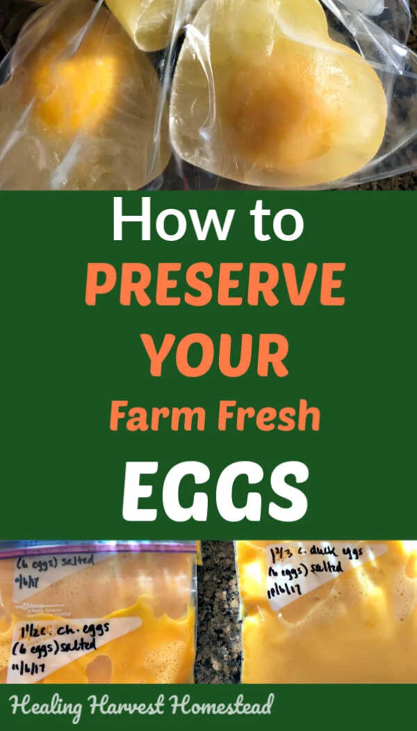 Do you have a lot of extra eggs? And you don’t want them to go bad? What to do with all those extra eggs? Besides using them in recipes, you might want to consider preserving them . Here are the best ways to preserve your extra eggs, along with directions for each method. You'll want to find out how to store your extra eggs for the long term! #preserveeggs #howtopreserveeggs #freezeeggs #dehydrateeggs #pickleeggs #foodpreservation #healingharvesthomestead