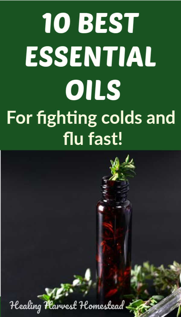 10 Essential Oils for Fighting the Flu