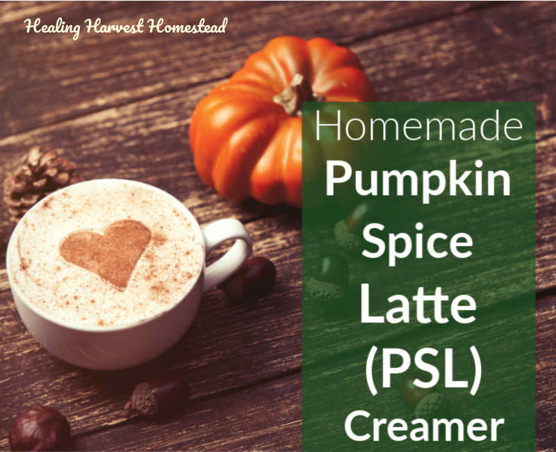 Make Your Own Natural, Healthy Pumpkin Spice Latte with Homemade Pumpkin Spice Creamer Recipe