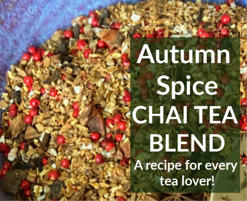 Autumn Spice Chai Recipe: A Delicious, Easy, Warming Tea for the Cooler Months (It's Pretty Too)