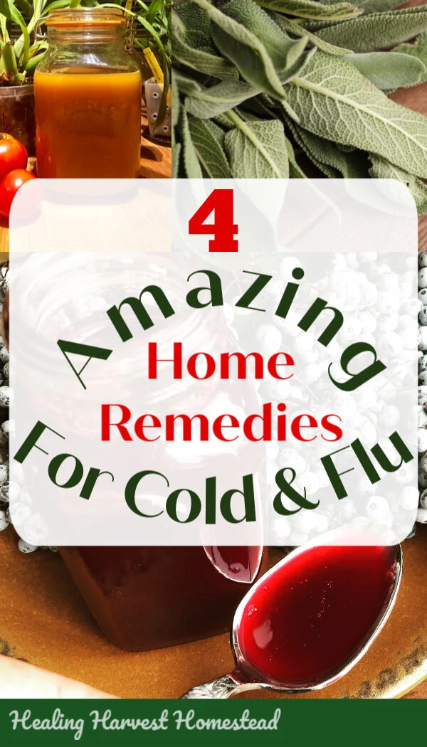 4 Herbs to Use Right Away if You Feel a Cold or Flu Coming
