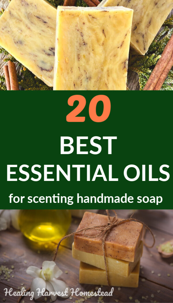 20 BEST Essential Oils and Blends to Scent Handmade Soap Naturally — All  Posts Healing Harvest Homestead
