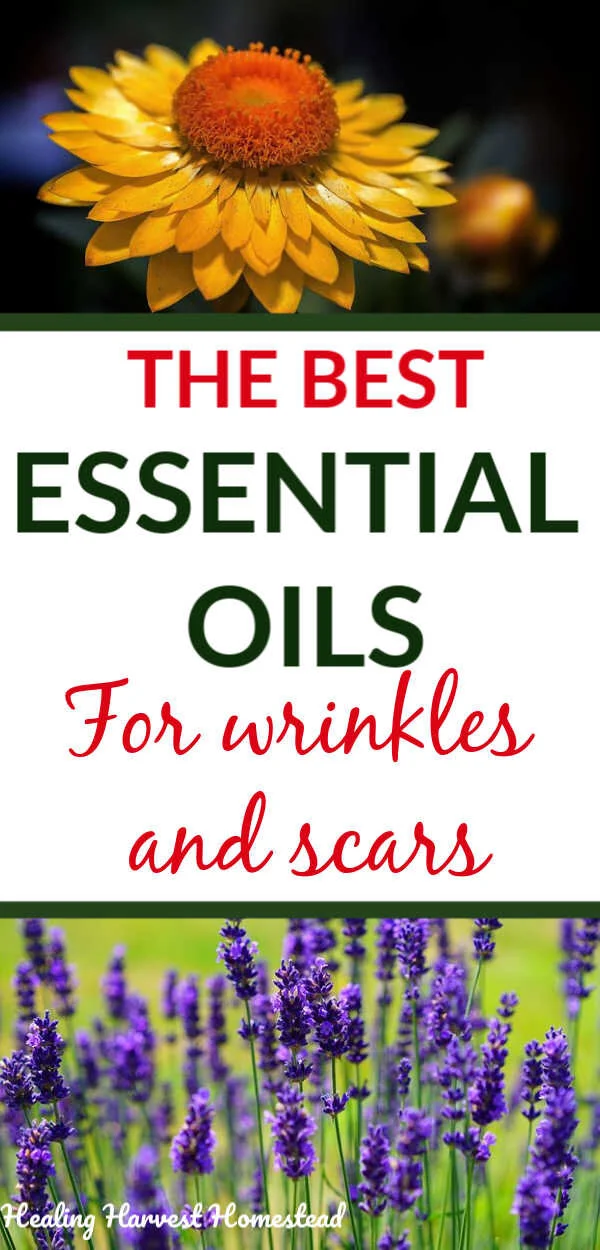8 Best Essential Oils for Wrinkles and Scars PLUS a Natural Night Serum ...