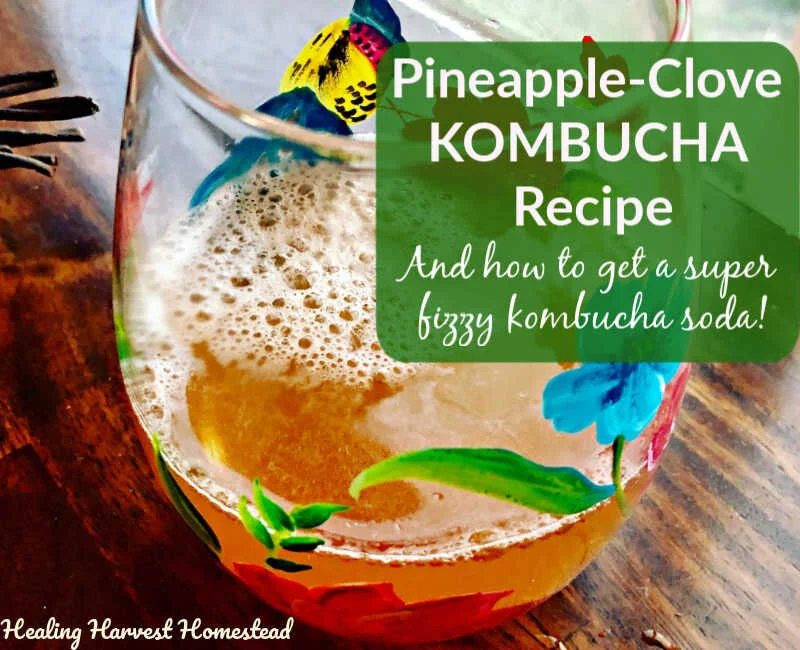 How to Make Kombucha Fizzy (the Second Ferment): Plus a Kombucha Recipe for Delicious Pineapple &amp; Clove Kombucha