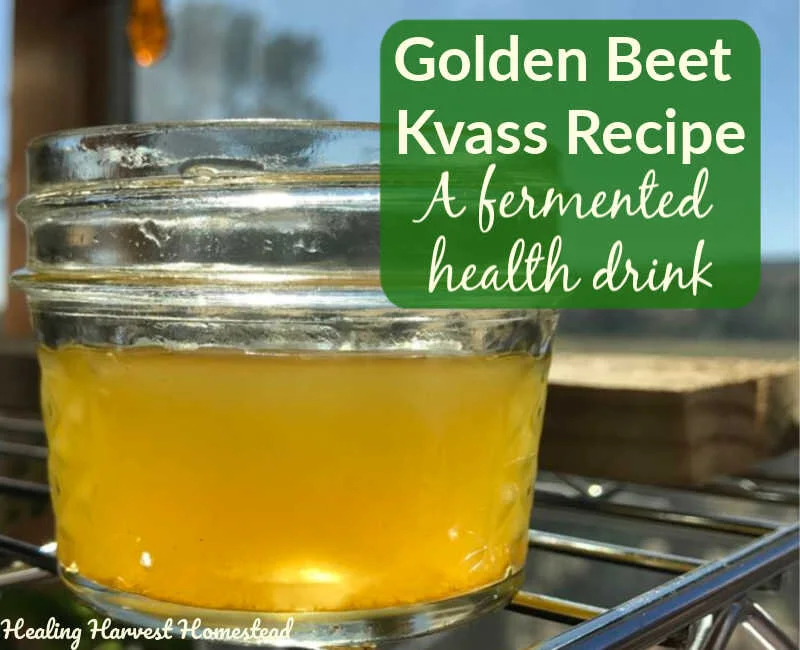 Golden Beet &amp; Turmeric Kvass: A Fermented Home Brew Recipe for a Healthy Probiotic Drink