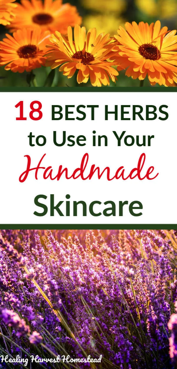 The 18 BEST Herbs to Infuse in Your Homemade Skincare Products — All