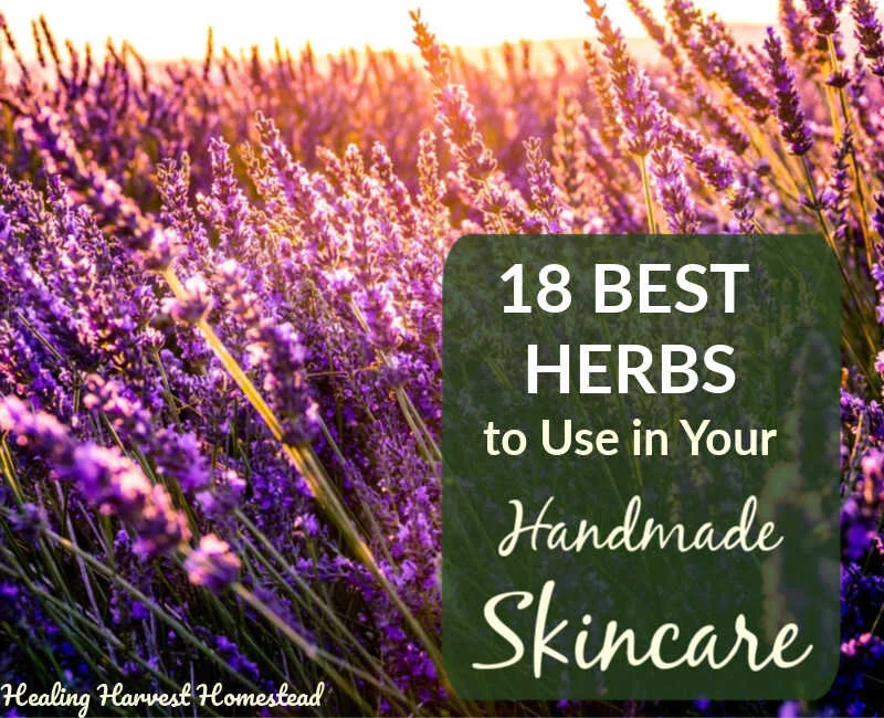 The 18 BEST Herbs to Use in Your Homemade Skincare Products (Infused Creams, Oils, Soaps, Salves, Butters, and Balms)