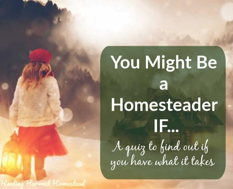 You Might Be a Homesteader IF.... Here's How to Find Out if You Have the Heart and Mind of One: A QUIZ