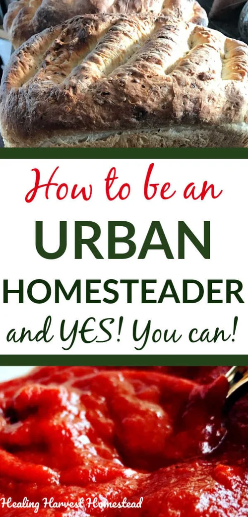 How to an Urban Homesteader Some Tips and Some Skills You Can Develop Now — All Posts
