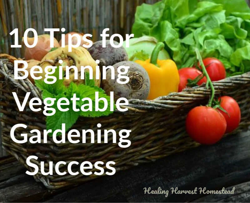 10 Tips for Vegetable Gardening Success for Beginners (Tips All Gardeners Need to Know to Grow Your Victory Garden!)
