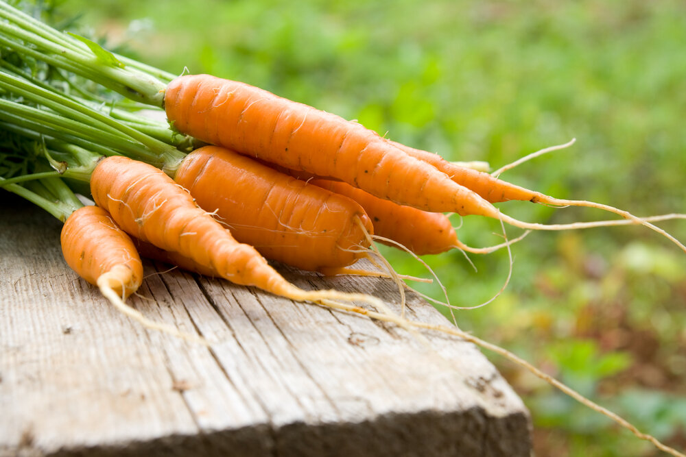 Lovely carrots