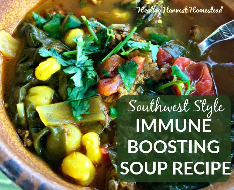 Soothing Southwest Immune-Boosting One-Pot Beef Soup (This Herbal Soup Will Help You Feel Better FAST!)