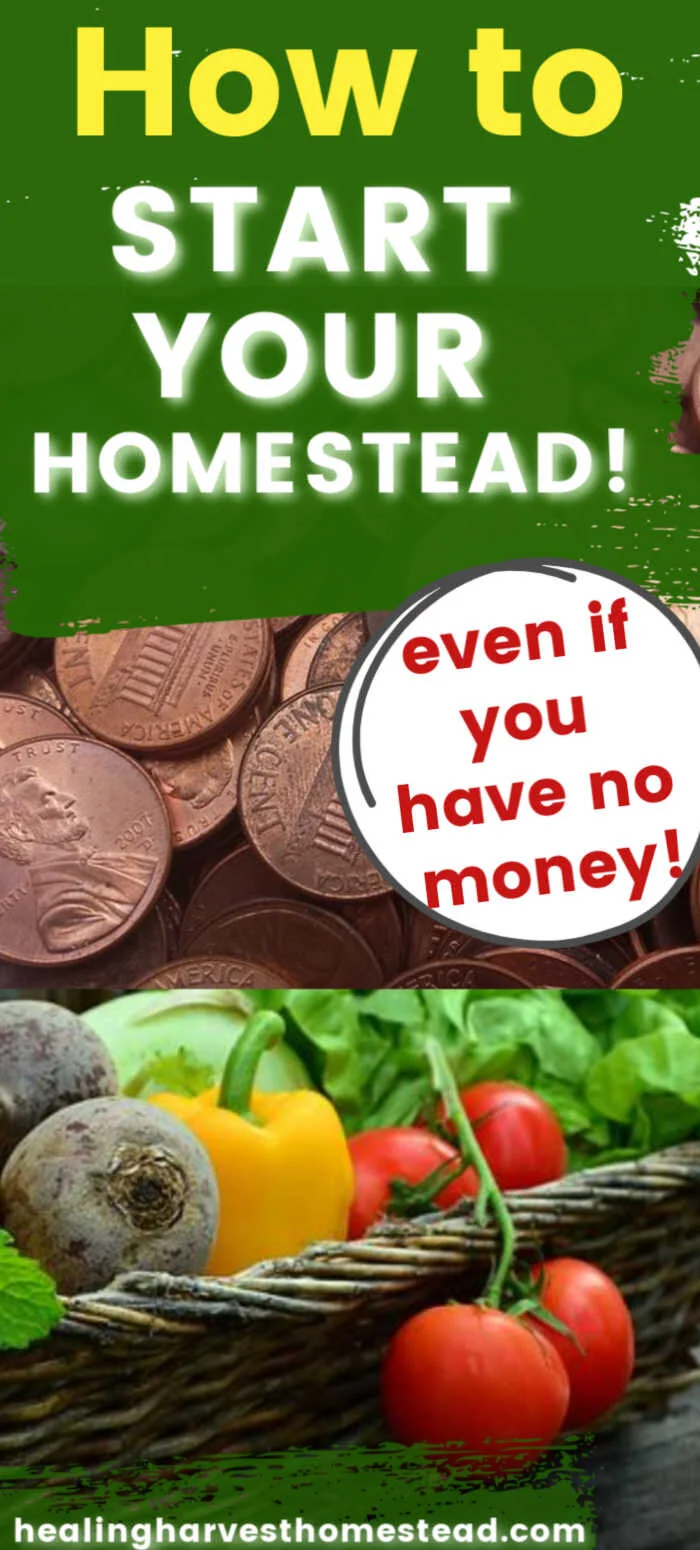 How to Start Your Homestead When You Don't Have Any Money (It's ALL ...