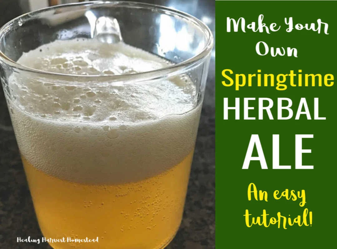 Herbal Ale: How to Make Mugwort, Elderflower, and Ginger Ale (THIS is THE Best Beer We've Ever Had in Our Lives!)