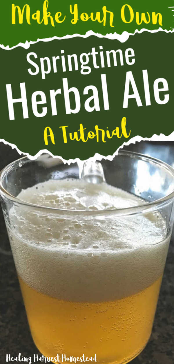 Making your own beer or ale is really quite simple. You can even use herbs you forage yourself to make a unique and lovely tasting, healthy home brew. Here’s a tutorial for how to make a springtime home brewed beer you’ll just love! #homebrew #homemadebeer #homemadeale #beer #herbal #howtomake #recipes #fermentation #healingharvesthomestead #healthydrink