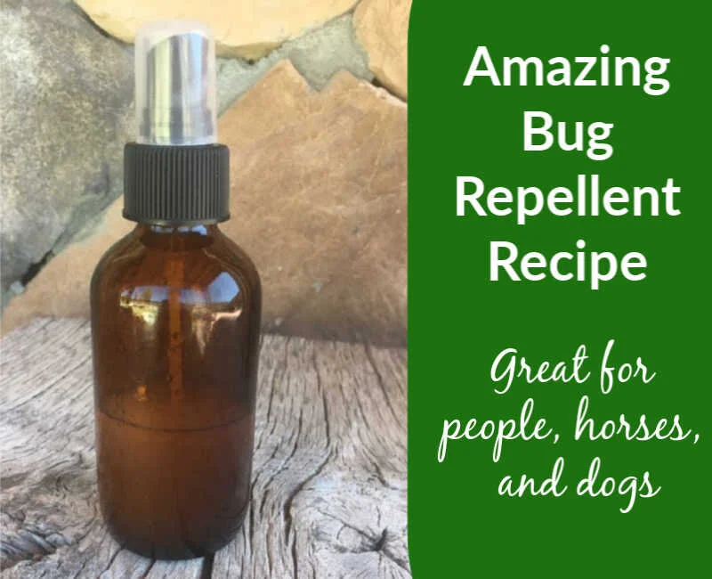 How to Make Your Own Bug Spray with Essential Oils