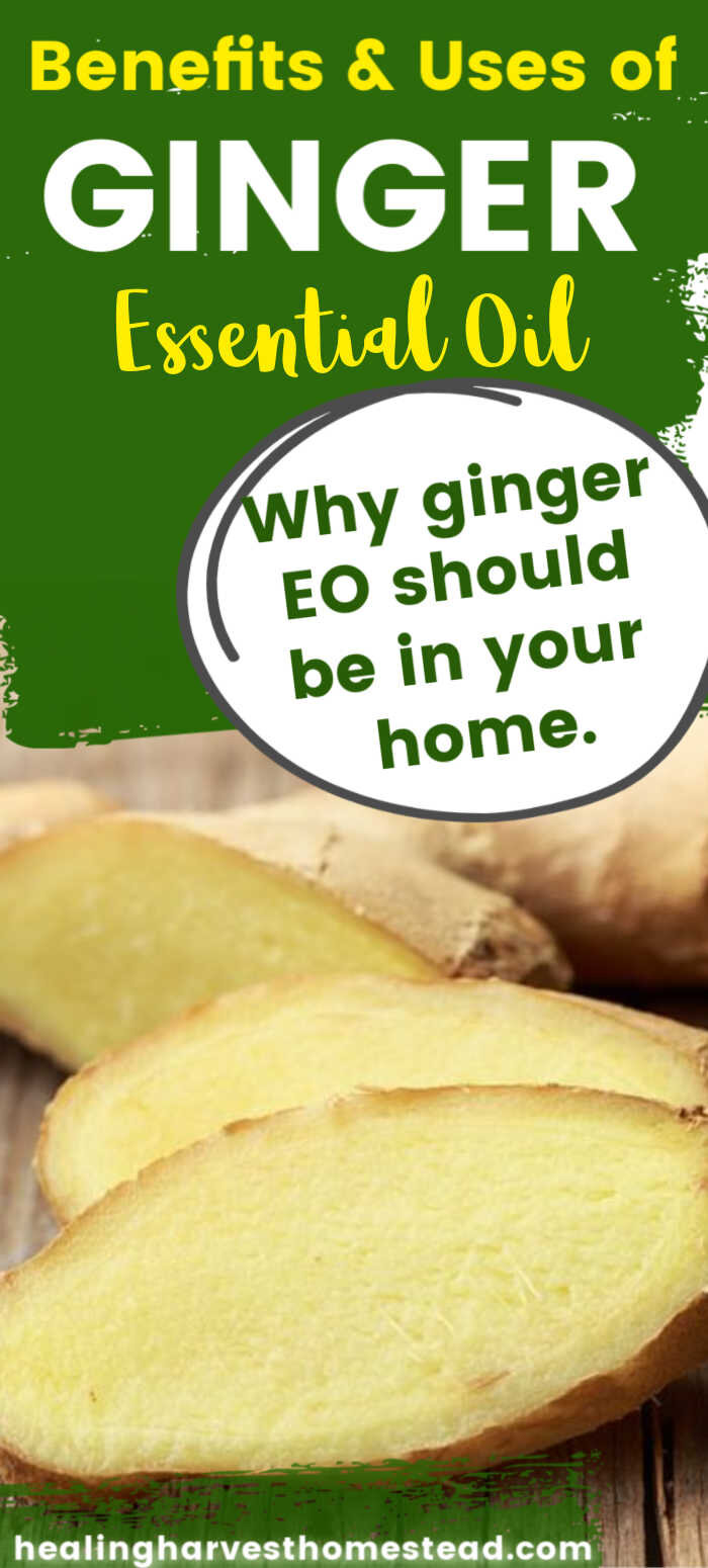 Ginger Oil Uses and Benefits: Essential Oil Spotlight, doTERRA Essential  Oils