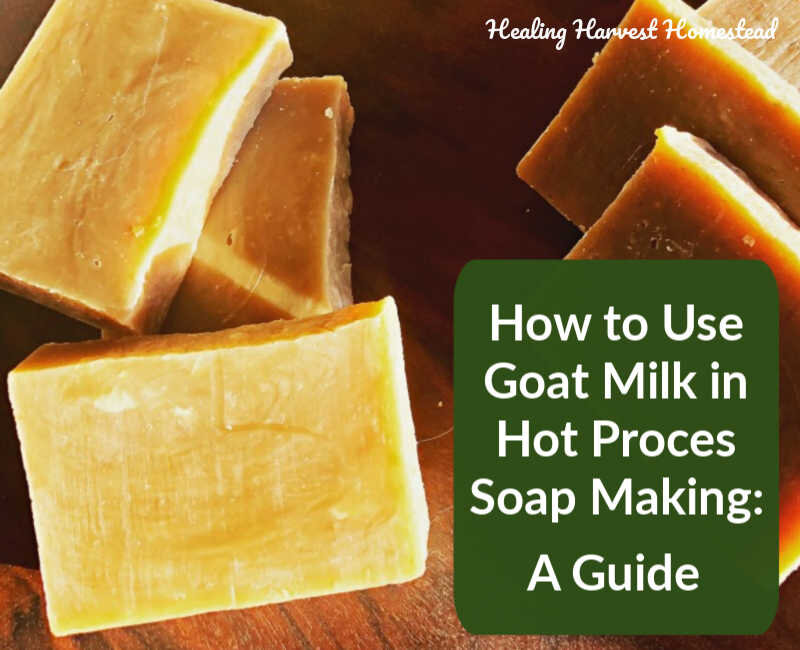 Goat Milk Soap Making using the Milk in Oil Method 