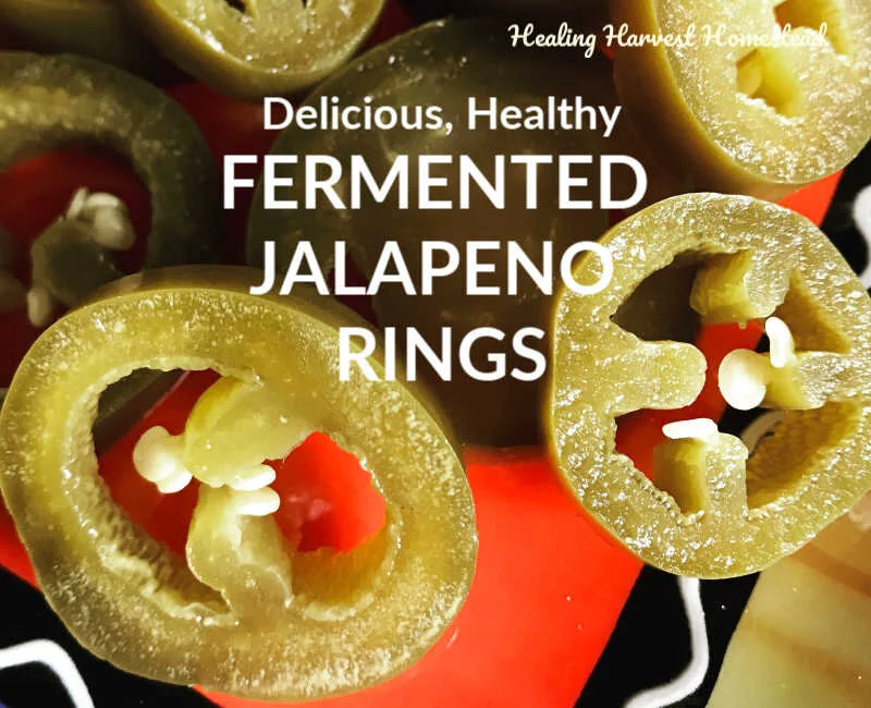 How to Make Delicious Fermented Jalapeño Pepper Rings