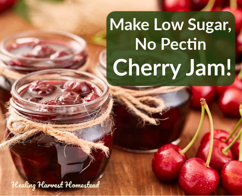 How to Make Homemade Low Sugar Cherry Jam with No Pectin (Can, Freeze, or Refrigerate)