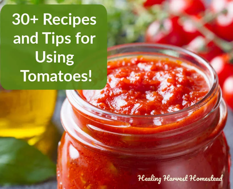 30 Easy Recipes &amp; Tips for Using Your Tomato Harvest This Summer 