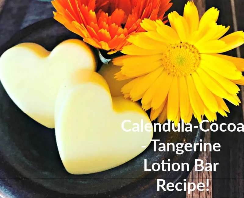 How to Make Cocoa-Orange Calendula Lotion Bars (So Soothing for the Skin...and Smells DELISH!)
