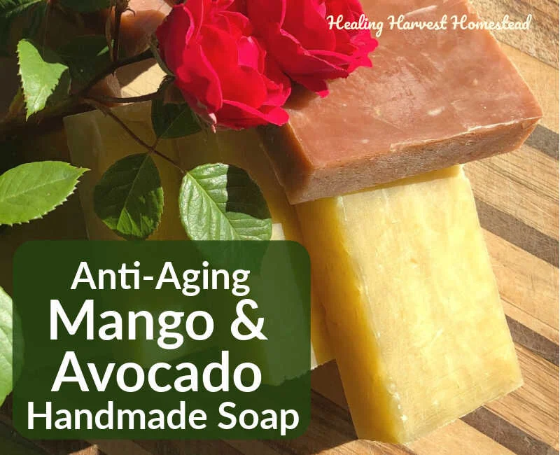 Mango-Avocado Anti-Aging Super Moisture Soap Recipe (Plus, Two Variations: Pink Grapefruit, Cinnamon, &amp; Patchouli OR Lavender-Lemon-Palmarosa)
