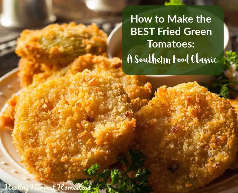 How to Make Perfect Fried Green Tomatoes (If You Have Too Many Green Tomatoes, You MUST Make These!)