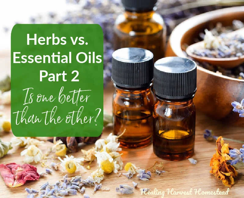 Herbs vs. Essential Oils Part 2: How and Why You Should Use Them Together