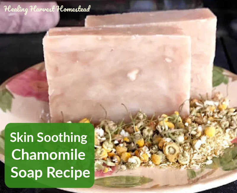 Chamomile-Infused Hot Process Soap---Soothing on the Skin!