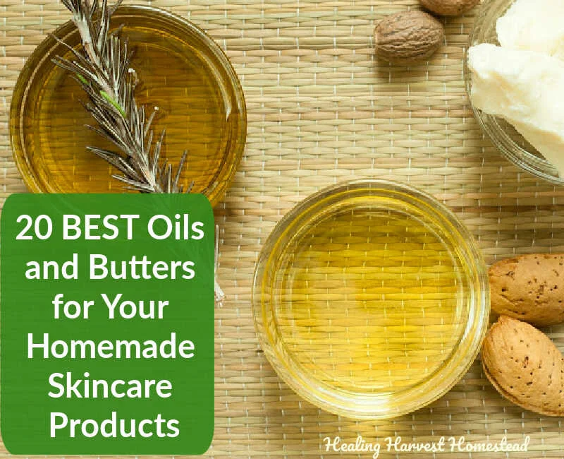 20 BEST Oils &amp; Butters for Your Homemade Skin Care Products: All About Carrier Oils