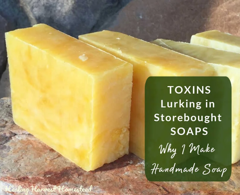 KILLER TOXINS Lurking in Your Soap---Why I Make Our Own Handmade Soap