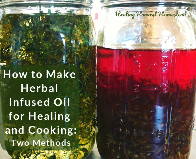 How to Make an Herbal Infused Oil (How to Infuse Herbs in Oils for Salves, Soaps, Cooking &amp; Remedies)