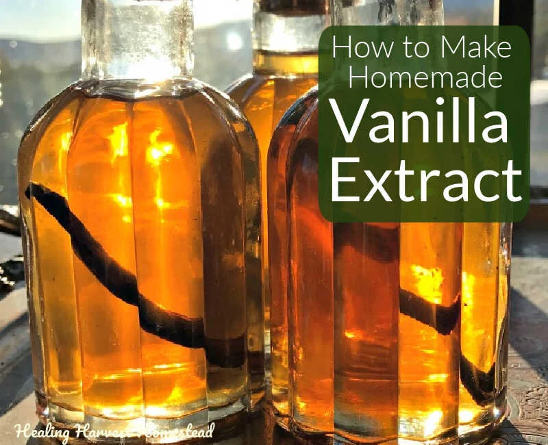 How to Make Your Own Vanilla Extract: PLUS, a Story About Vanilla (Start Now, So It's Ready for the Holidays!)
