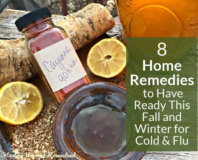 Natural Remedies to Have Ready for Fall (You'll be Glad You Prepared in Advance When Those Sniffles Start!)