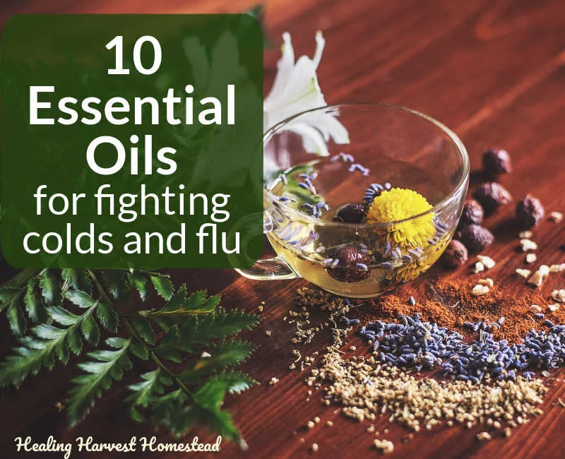 10 BEST Essential Oils to Fight a Bad Cold (How to Use Essential Oils to Soothe &amp; Relieve Cold &amp; Flu Ailments)