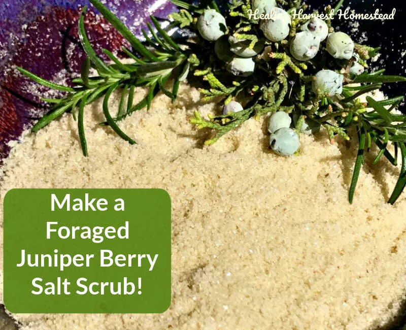 How to Make a Perfectly Natural Foraged Juniper-Rosemary Salt or Sugar Scrub for Smooth, Soft Skin