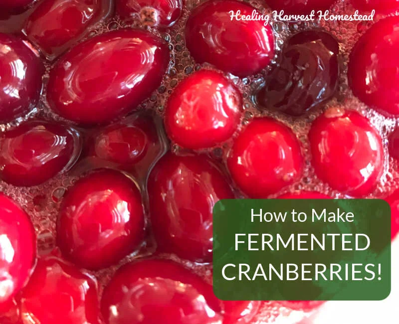 How to Make Fermented Cranberries for Your Holidays or Any Time: A Recipe