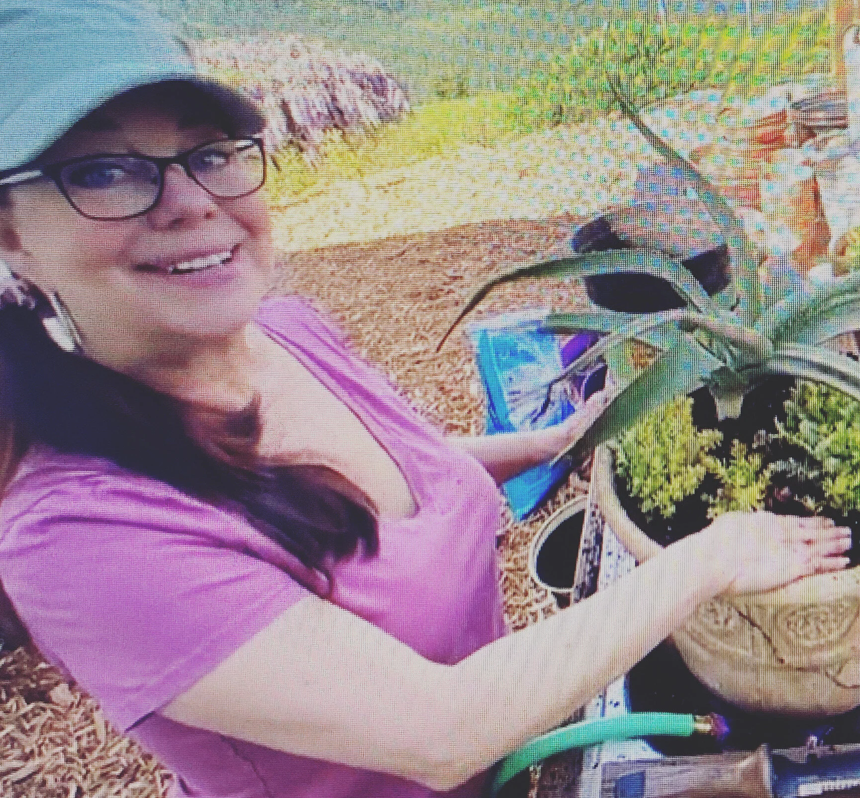 How to Transplant a Giant, Half-Dead Aloe Plant