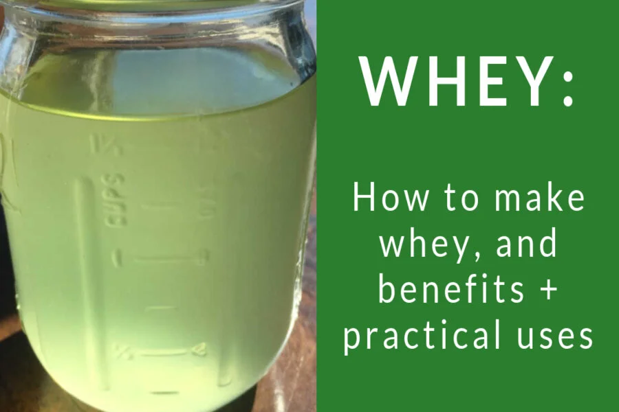 How to Make Nutritious Whey for a Starter for Lacto-Fermentation and Other Practical Uses 