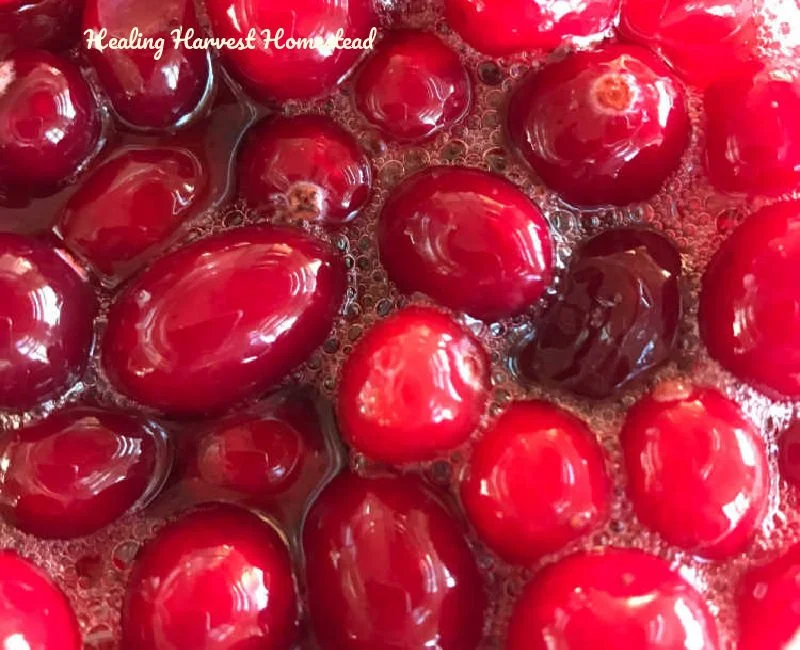 How to Make Delicious Fermented Cranberries 