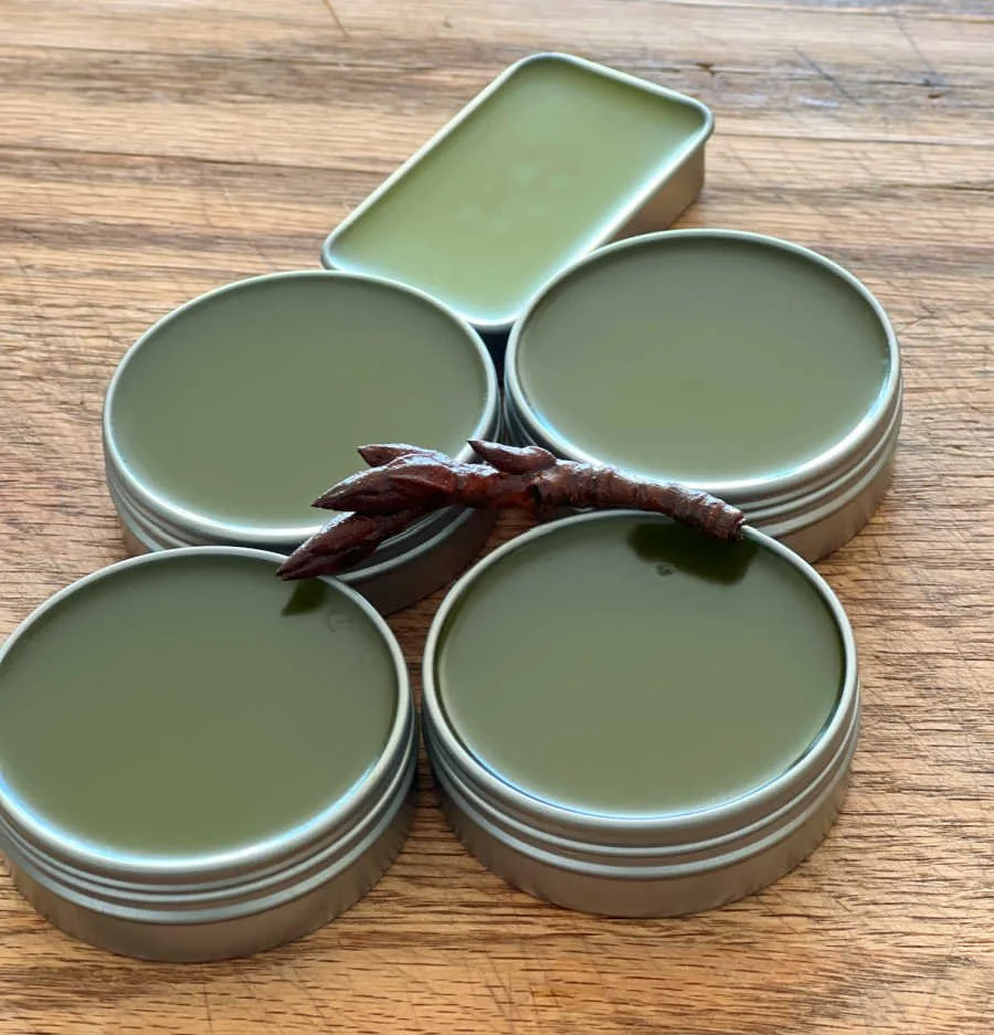 Cottonwood Buds: Foraging and Making Balm of Gilead Salve