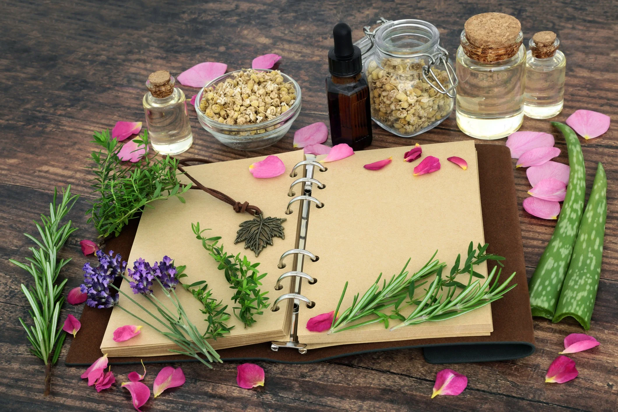 A Gift Guide for the Aspiring Herbalist (Or Anyone Interested in Herbal Medicine and Natural Living)
