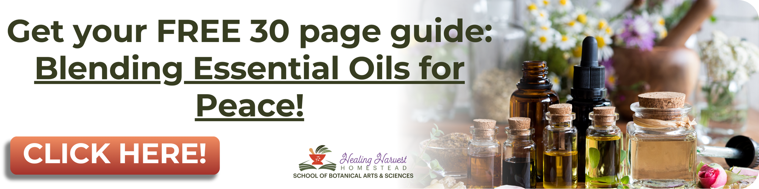 8 Best Essential Oils for Wrinkles and Scars PLUS a Natural Night Serum ...