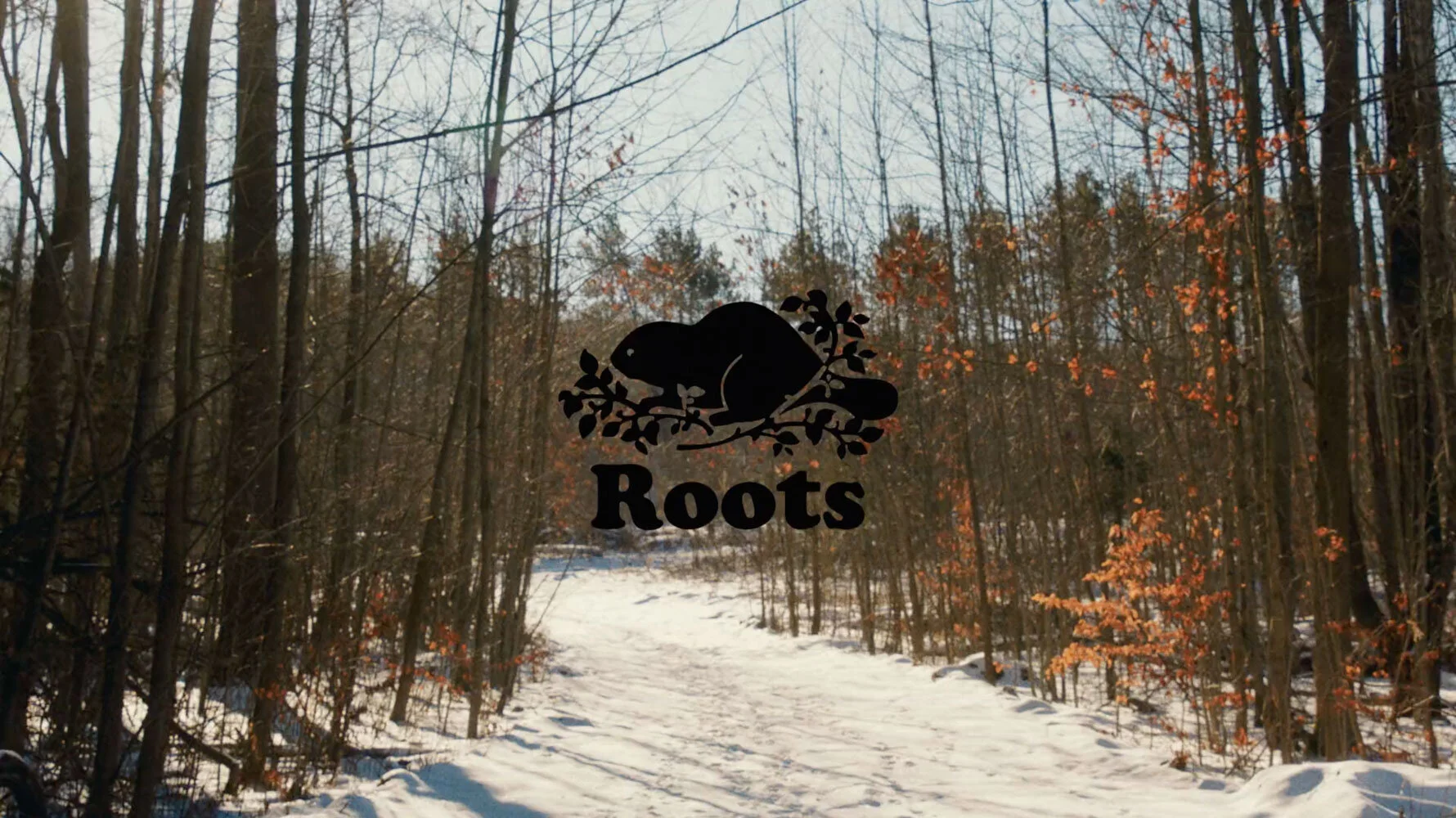 Roots International Sweatpants Day 