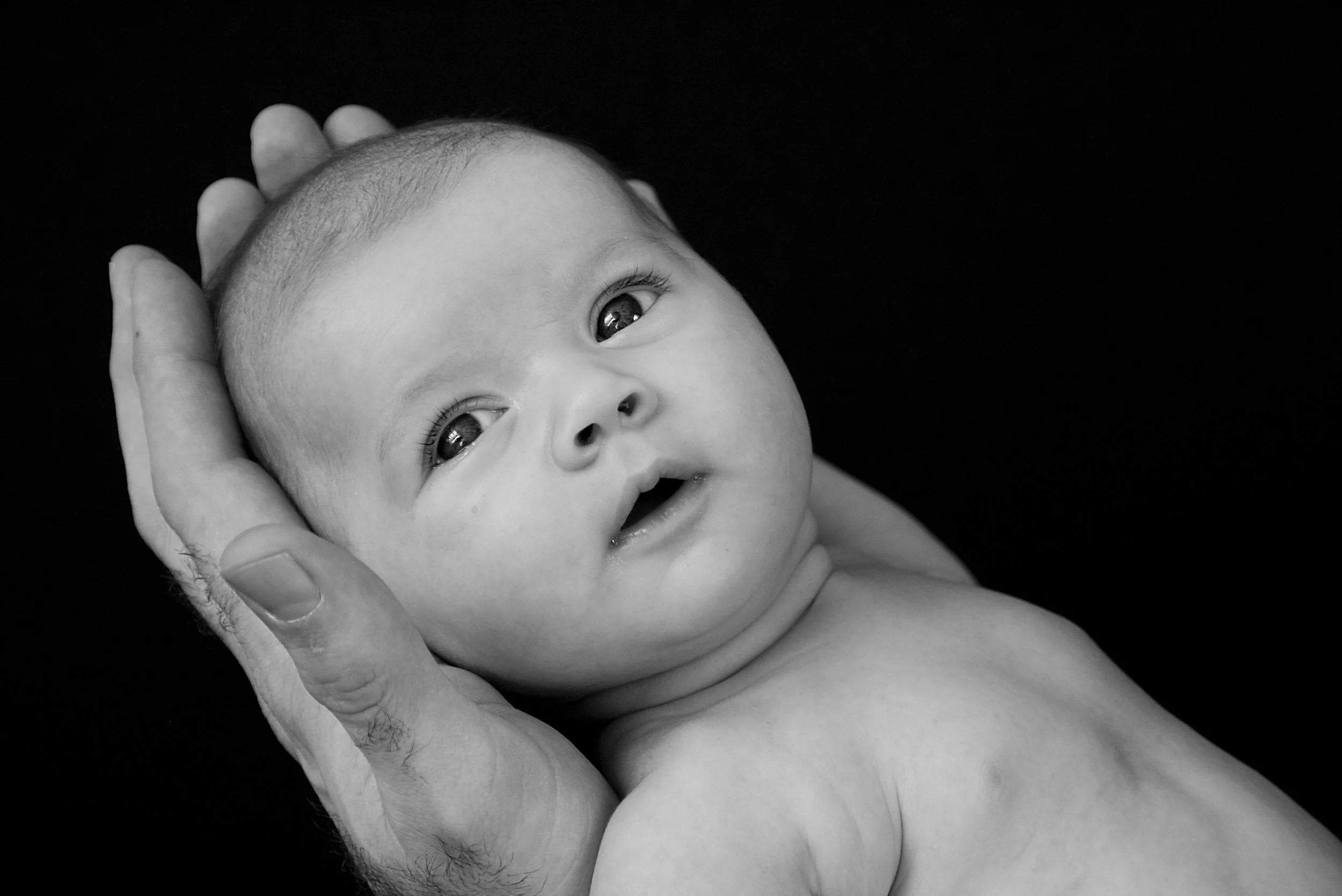 IMG_6781_bw.jpg