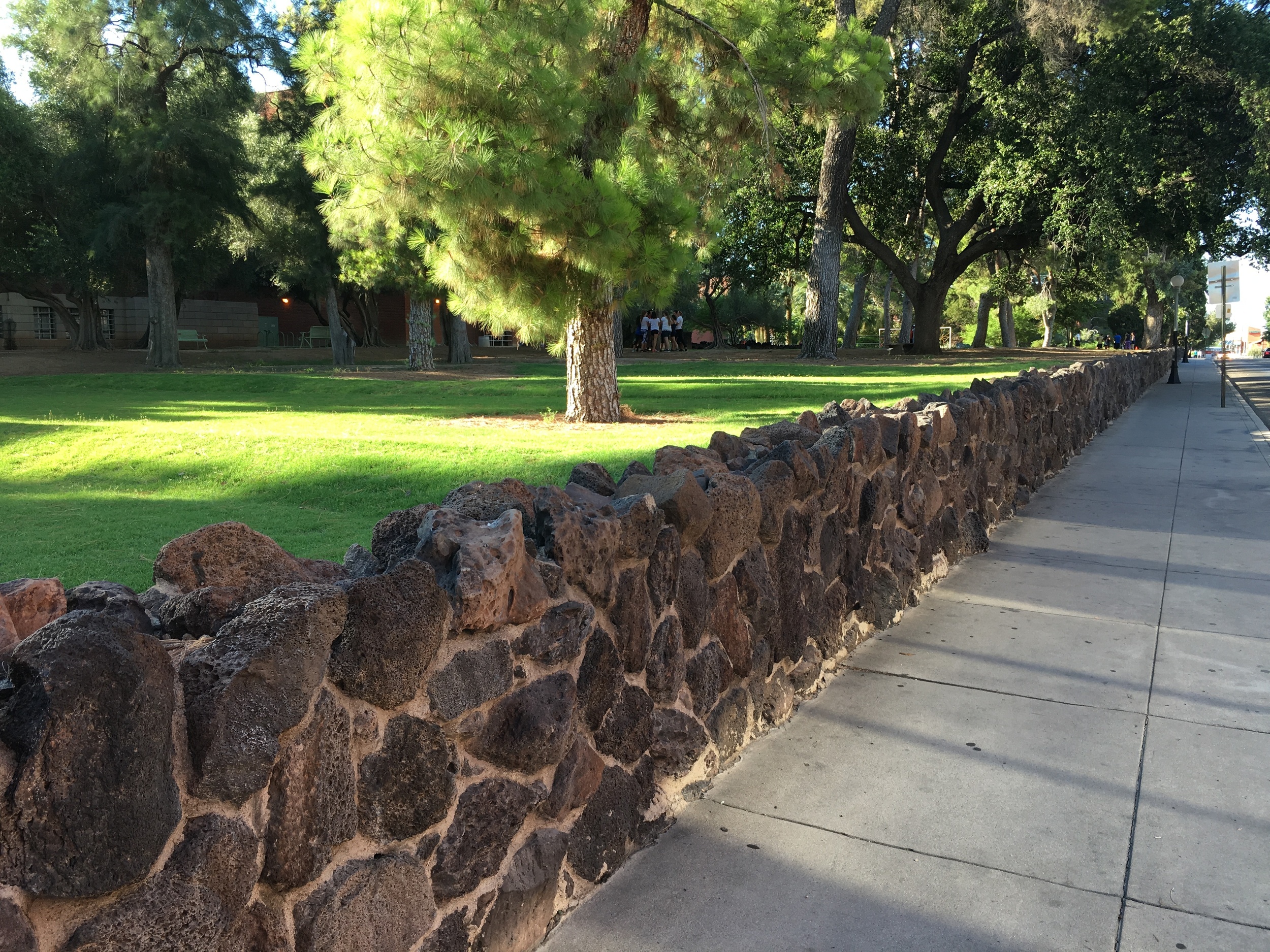 The wall along Park Avenue on the University of Arizona campus. Old photos show this wall was there by at least 1916.