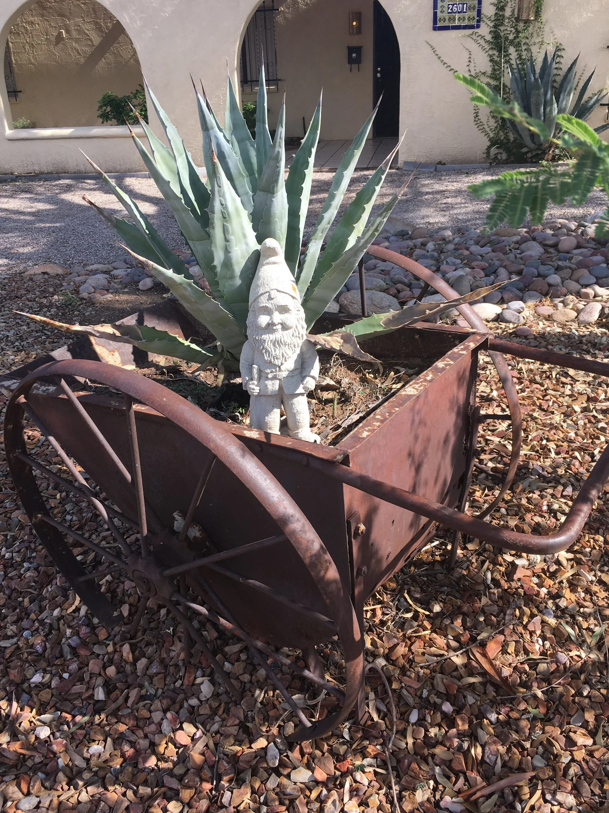 The gnome is living in the Blenman-Elm neighborhood northeast of the university.