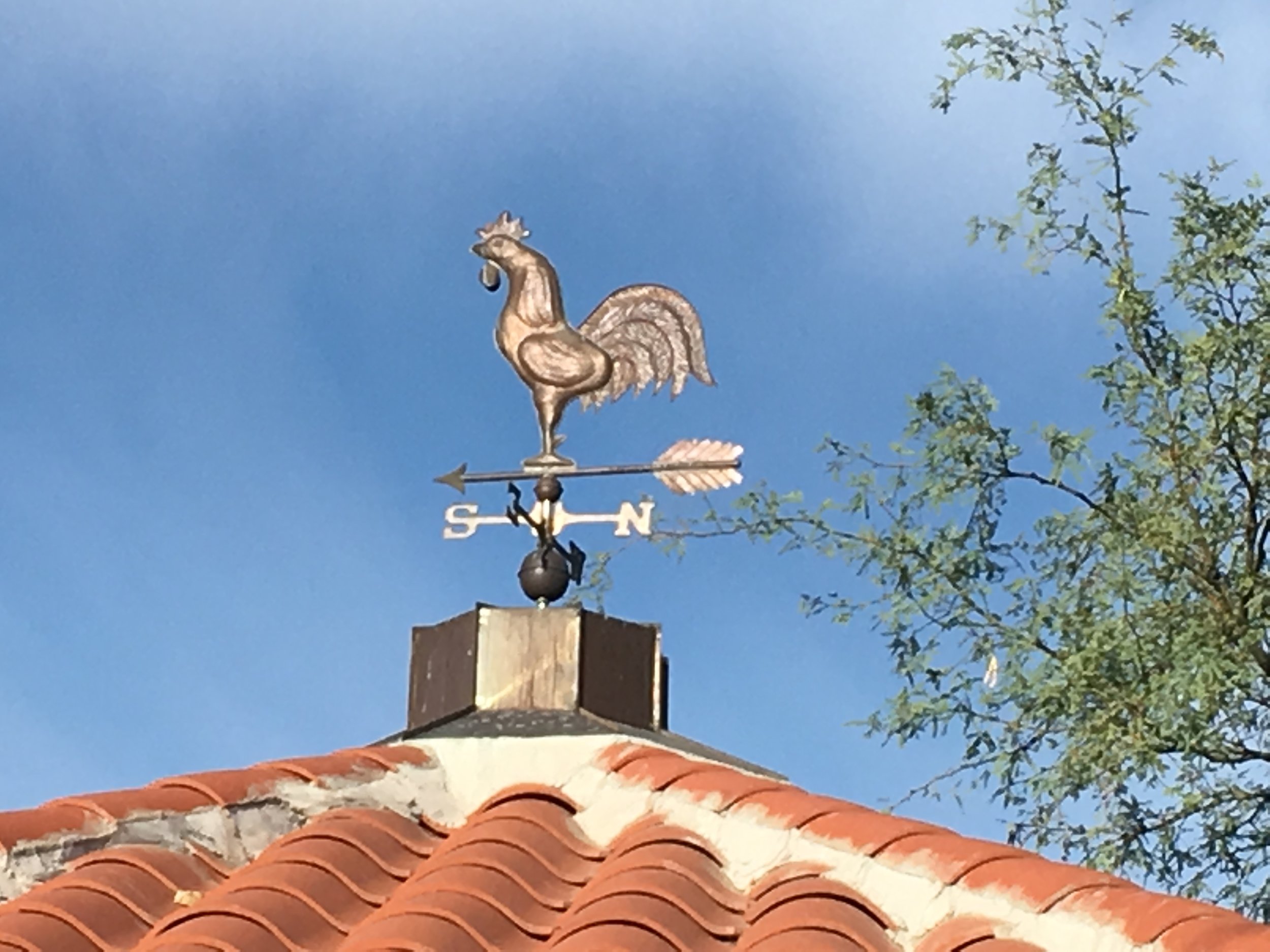 This rooster doesn't have any particular connection to Tucson, but roosters are a popular weather vane the world around. Perhaps it has something to do with rising early to meet the morning sun? This guy is on top of a downtown Tucson park behind the main fire station.