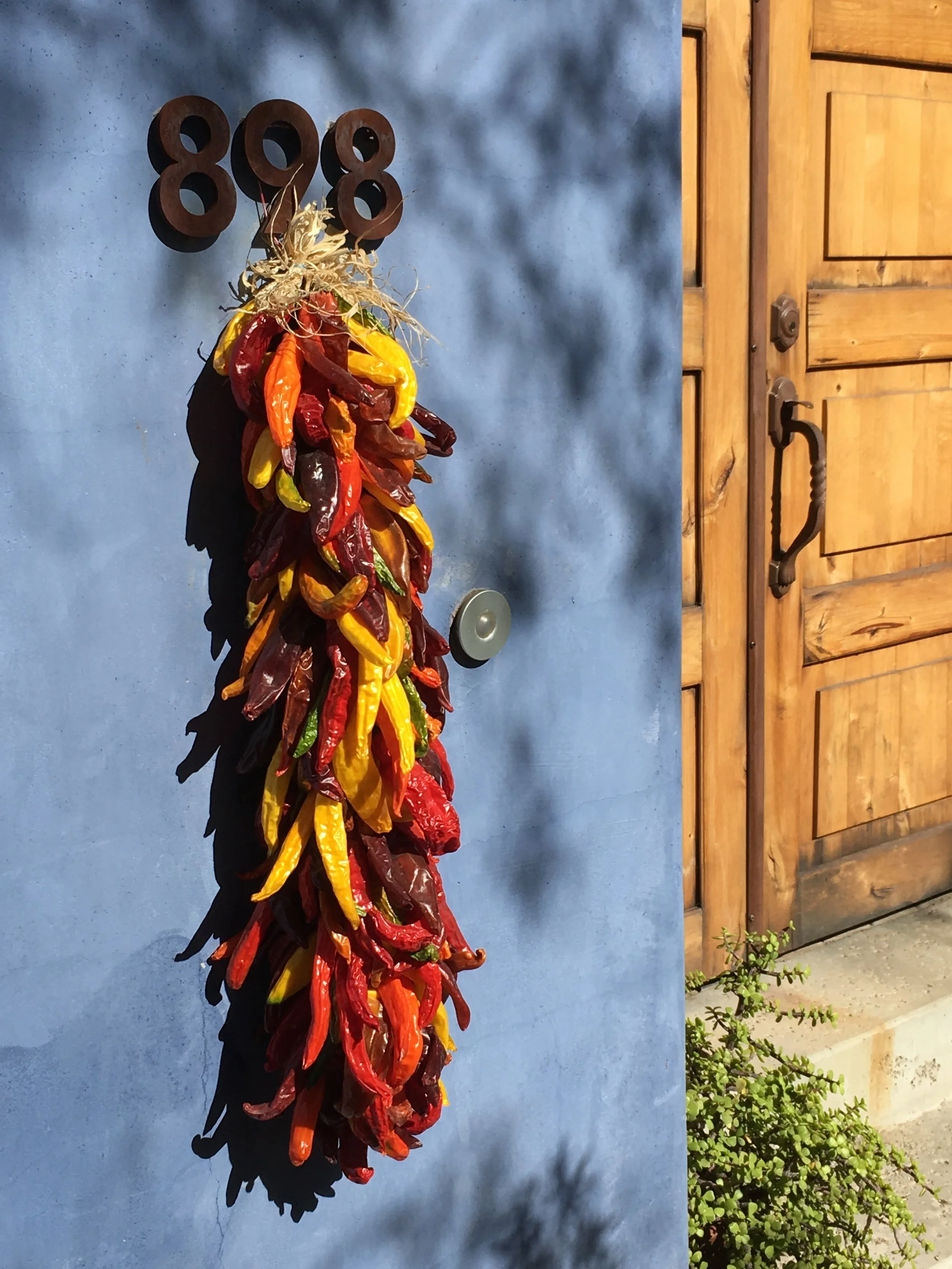 This feast of color is in the Mercado neighborhood west of downtown. Fresh ristras are usually sold at roadside stands and at swap meets in Tucson. I haven't been to Magdalena, Sonora, this fall, but there are normally lots of stands along highway 15 that sell ristras.